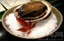 道乐日本料理